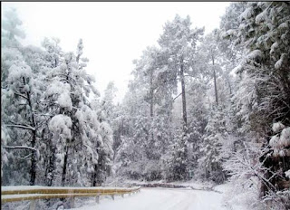 murree with snow