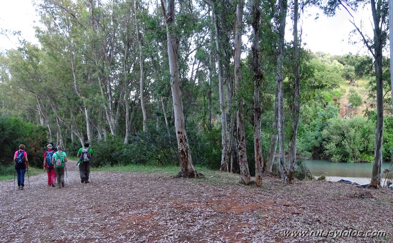 El Colmenar - Camino de los Arrieros - Puerto de los Peñones - Puerto de la Venta - Garganta de Los Charcones