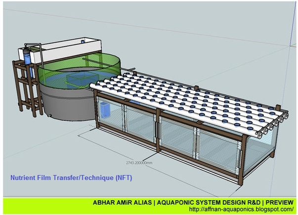 Affnan's Aquaponics: Conceptual 3D Rendering of Aquaponics - Abhar 