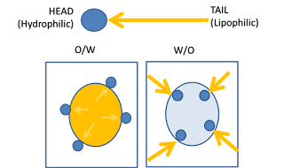 Hydrophilic and lipophilic