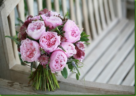 Rose ROSALIND