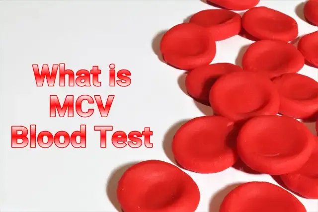 What is MCV Blood Test | MCV Full Form