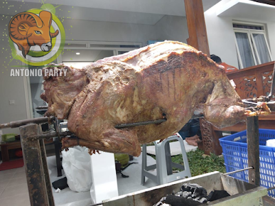 Kambing Guling Murah Dago,Supplier kambing guling,Supplier Kambing Guling Murah Dago,Supplier Kambing Guling Murah,Supplier Kambing Guling Murah Dago Bandung,kambing guling,