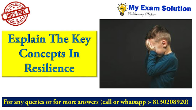 key concepts of resilience theory, 4 models of resilience, concept of resilience pdf, models of resilience pdf, research on resilience pdf, who developed resilience theory, compensatory model of resilience, rutter resilience theory