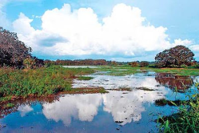 Refugio Nacional de Vida Silvestre Caño Negro