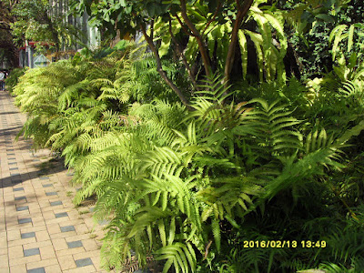 國立自然科學博物館植物園外面