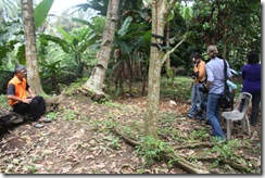 Tetamu dari US 050