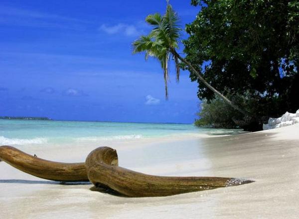 foto pemandangan pantai