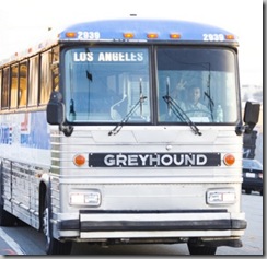 Greyhound