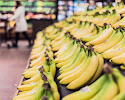 Fruits Grocery Bananas Market
