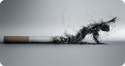 the-smoking-effect-l