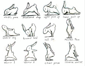 illustration of rabbit doing yoga poses 