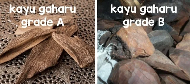 Ciri Kayu Gaharu Grade A Dengan Grade B