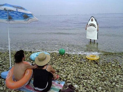 Funny summer pictures collection