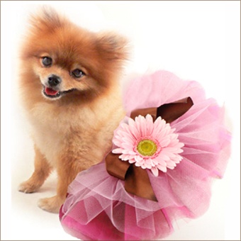 Classic Pet Tutu Triple Beauty