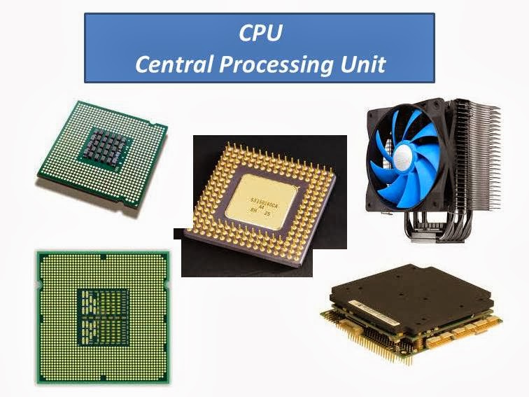  CPU  RAM ROM     ICDL Course