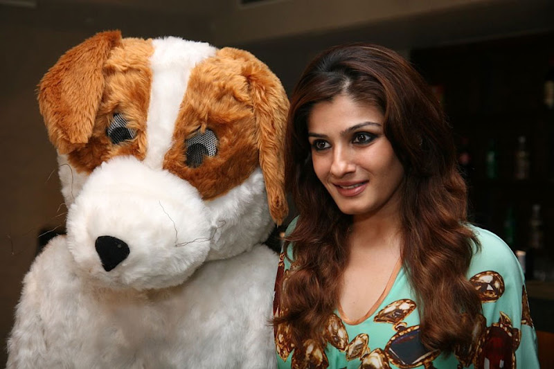 Bollywood Actress Raveena Tandon Stills Gallery gallery pictures