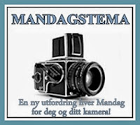 http://helenesblogadresseat.blogspot.se/2013/11/mandagstema-99.html