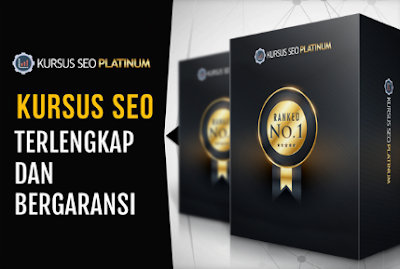 Kursus private seo platinum evolution