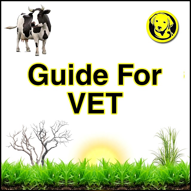 Free Download Guide For VET Full Pdf