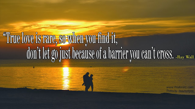 Quotes About True Love Wallpapers