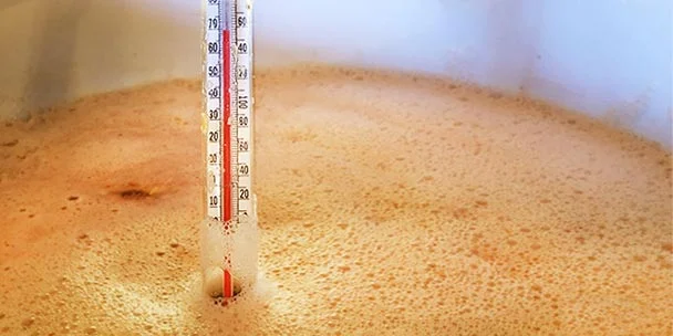 best - measuring the temperature of beer with a thermometer