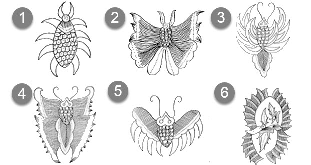 26 Gambar Ragam Hias Fauna Kupu Kupu Istimewa 