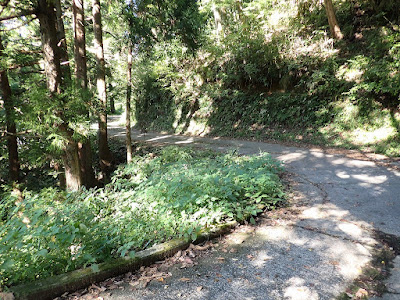 栃尾登山口まで自転車で