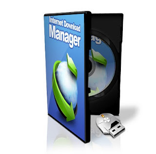 Internet Download Manager beta version