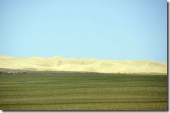 07-14 khongor 069 800X dune