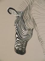 Grevy's zebra charcoal drawing in progress