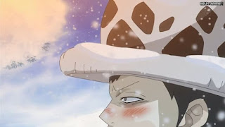 ワンピースアニメ ドレスローザ編 704話 トラファルガー・ロー 幼少期 かわいい CV.神谷浩史 Trafalgar Law | ONE PIECE Episode 704