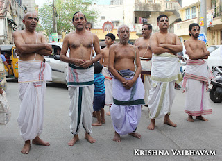 Sri Theliya Singar,Purattasi, second, sanivaram,Parthasarathy Perumal Temple,Purappadu,2016, Video, Divya Prabhandam,Sri Parthasarathy Perumal, Triplicane,Thiruvallikeni,Utsavam,