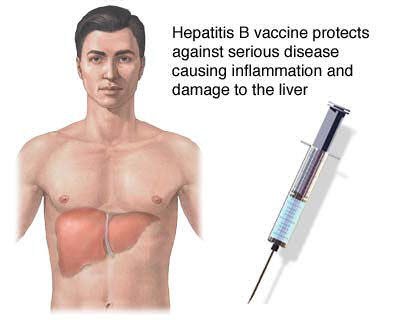 hepatitis b