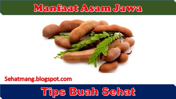 Manfaat Asam Jawa Bagi Tubuh Manusia