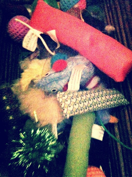 Cat toy