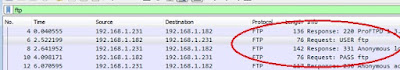 Network Traffic Capture