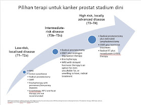 penyebab pencegahan pengobatan kanker prostat