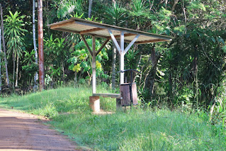 bus stop with covered bench and garbage can on dirt road in rural Puriscal, Costa Rica