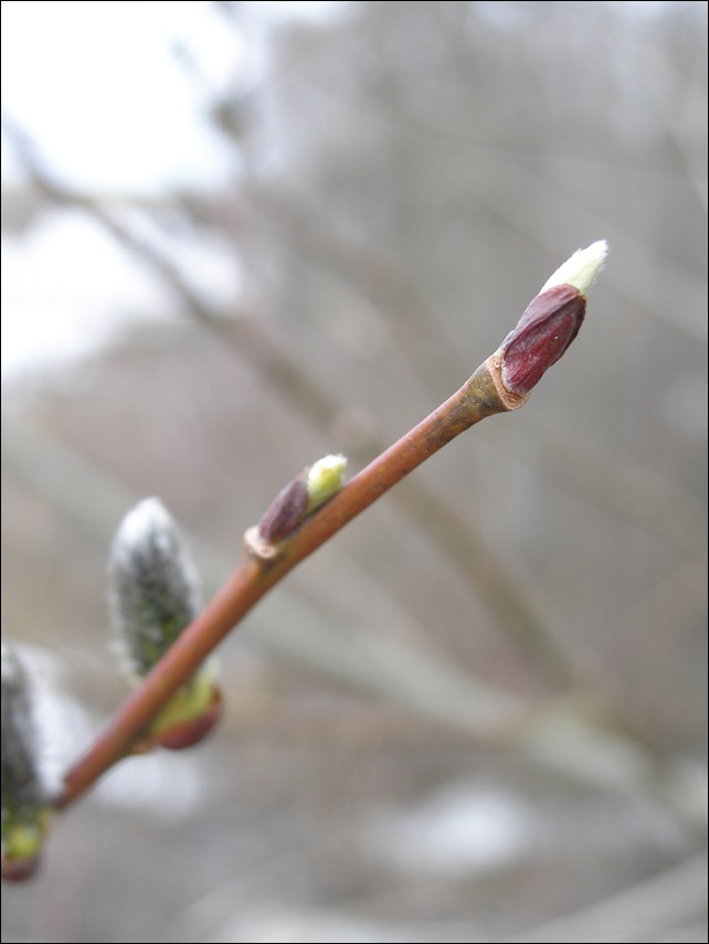 April2009 279