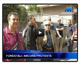 http://www.videomediterraneo.it/notizie/attualita/14857-ragusa-forestali-ancora-proteste.html