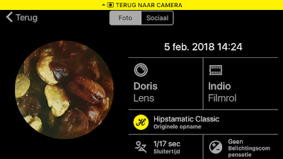 Schermafbeelding Hipstamatic-instellingen Doris + Indio