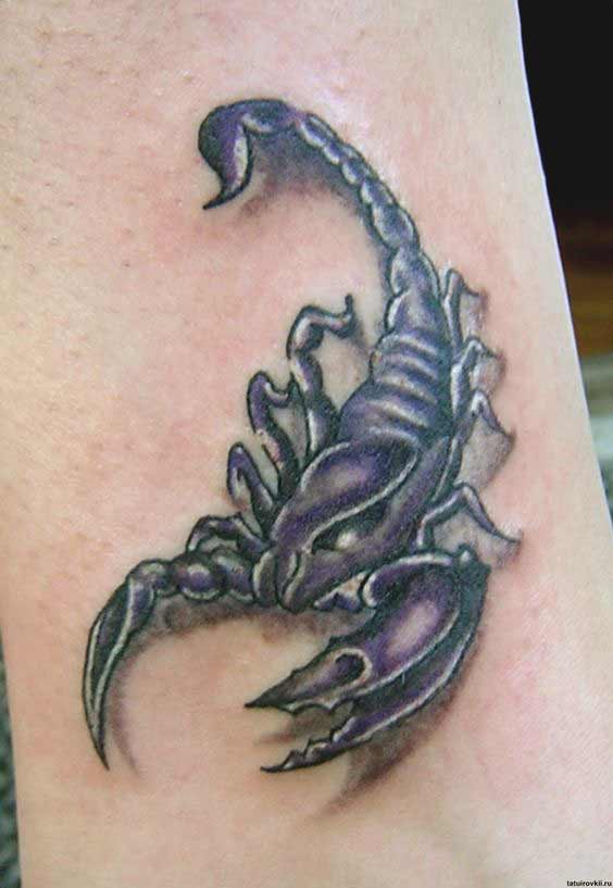 tattoo designs scorpion