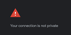 A red triangle with an exclamation mark inside followed by the text "Your connection is not private". Screen captured from the chrome SSL certificate error page.