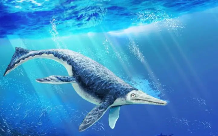 Top 10 Biggest Sea Dinosaurs that ever lived on Earth