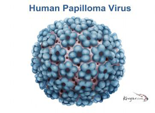 hpv