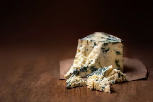 gorgonzola-fromage-dangereux-pour-les-chihuahua
