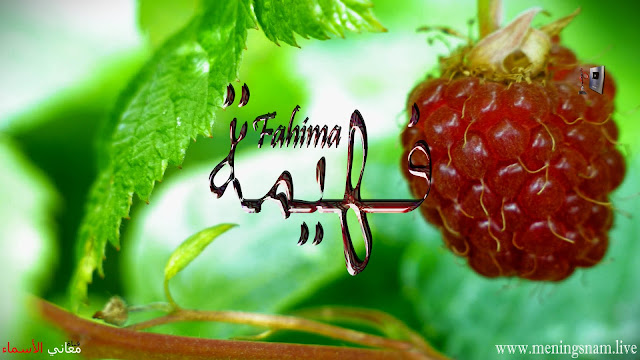 معنى اسم فهيمة وصفات حاملة هذا الاسم Fahima