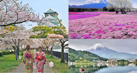 Vì sao bạn phải đến du lịch Nhật Bản một lần trong đời? Dulichnhatban1