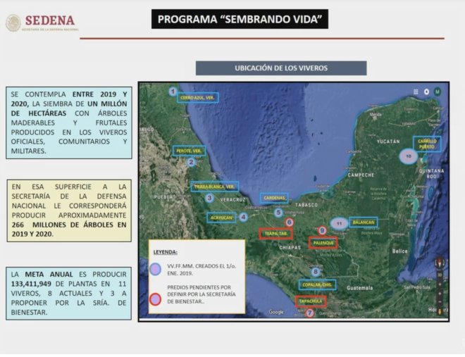 Arranca «sembrando vida» programa que busca autosuficiencia alimentaria y ayudar al medio ambiente